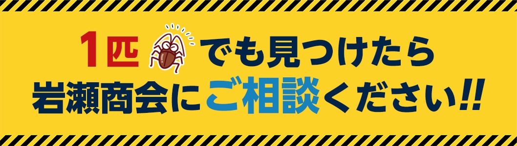 1匹でも見つけたら岩瀬商会にご相談ください!