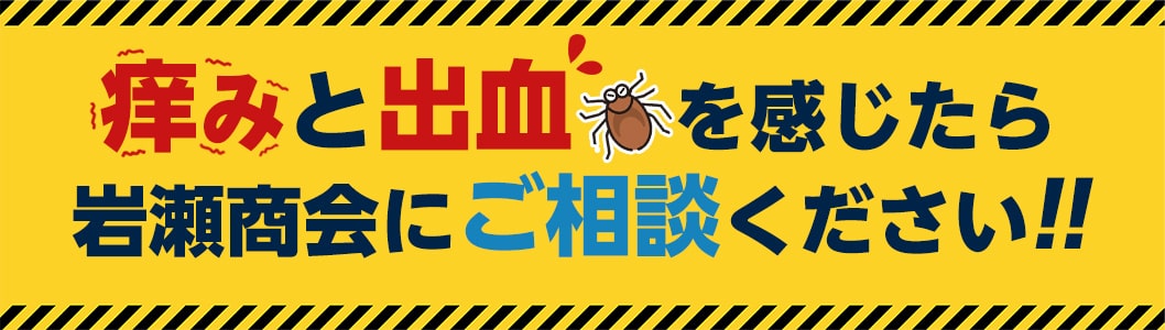 「痒い!」と感じたら岩瀬商会にご相談ください!